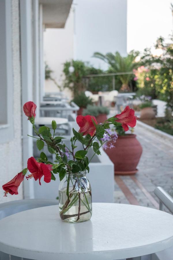 Stefanie Studios Agia Marina  Luaran gambar